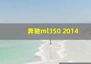 奔驰ml350 2014